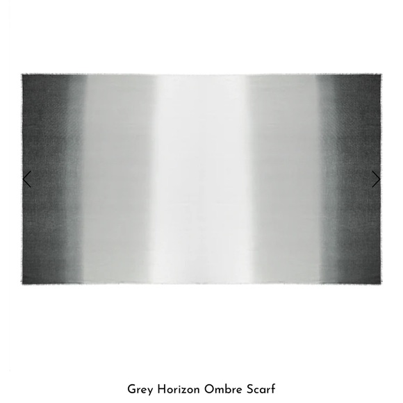 NWT Cushnie Grey Horizon Ombré Scarf - Picture 4 of 5